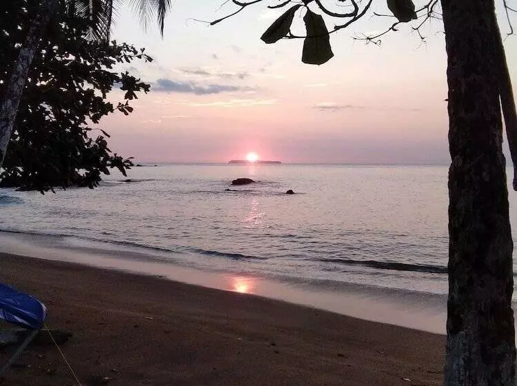 ペンション Cabinasyafethosa Caletas