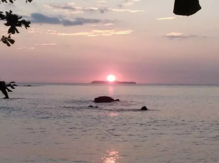 ペンション Cabinasyafethosa Caletas