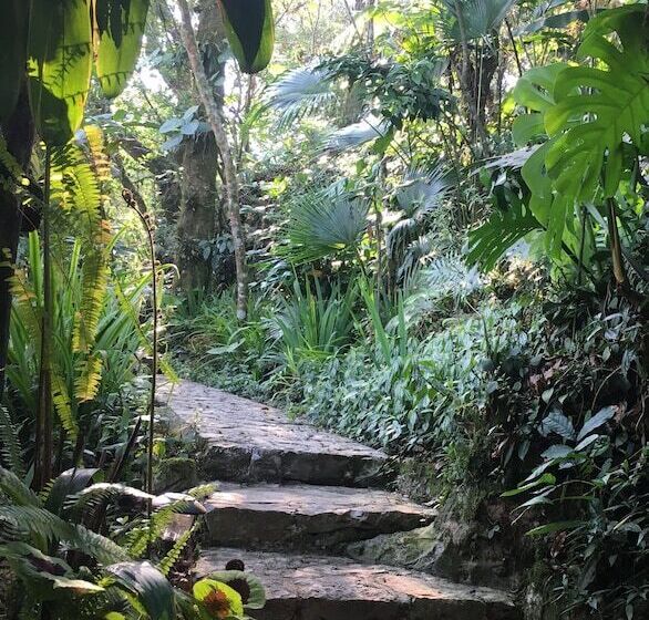 پانسیون Corazón De Niebla