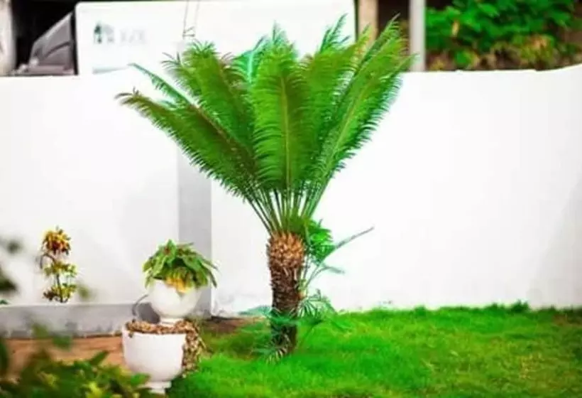 پانسیون Résidence Soleil Levant