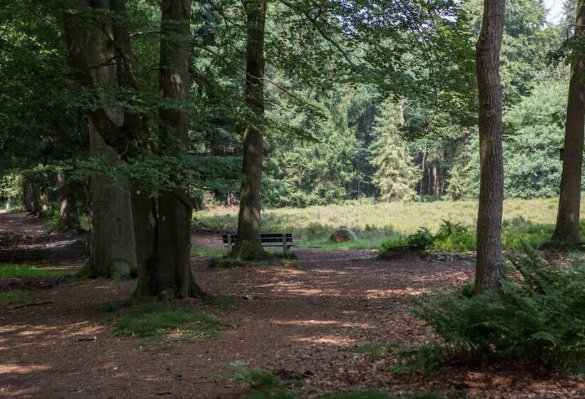 리조트 Buitengoed Fredeshiem