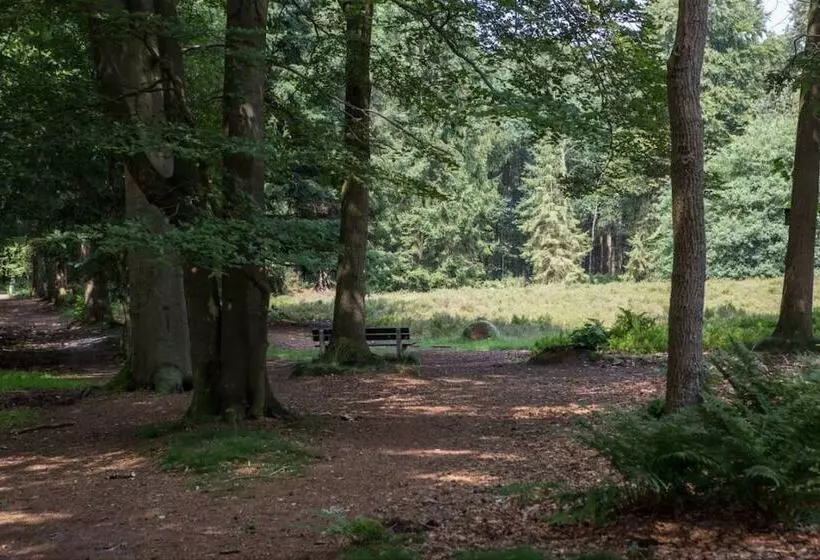 Lomakeskus Buitengoed Fredeshiem