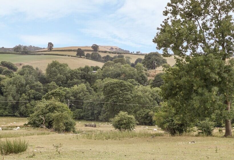 Rhianwen, Plas Moelfre Hall Barns
