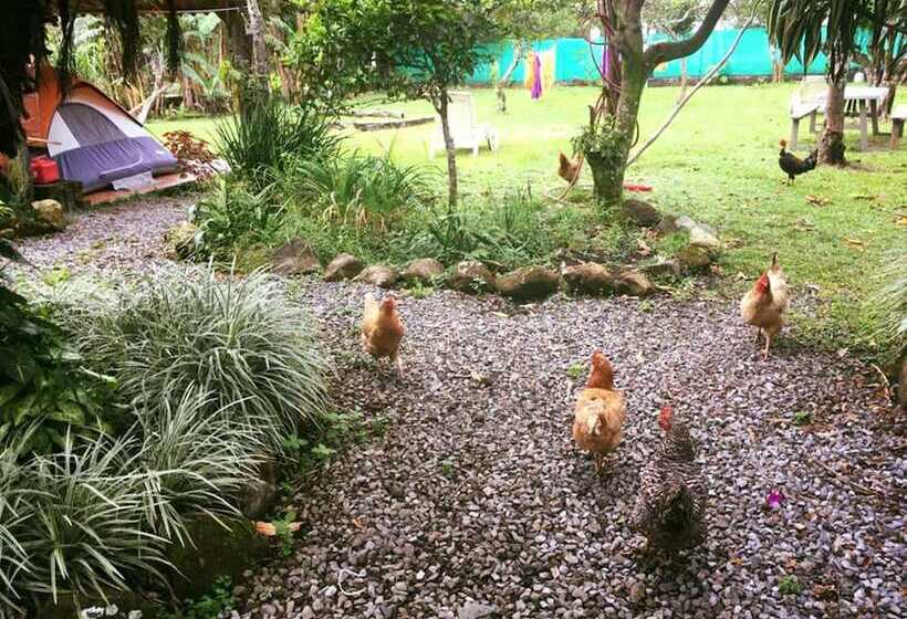 Spanish By The River Boquete Hostel