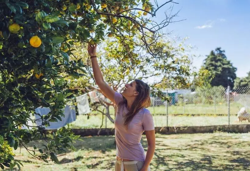 Spanish By The River   Boquete   Hostel