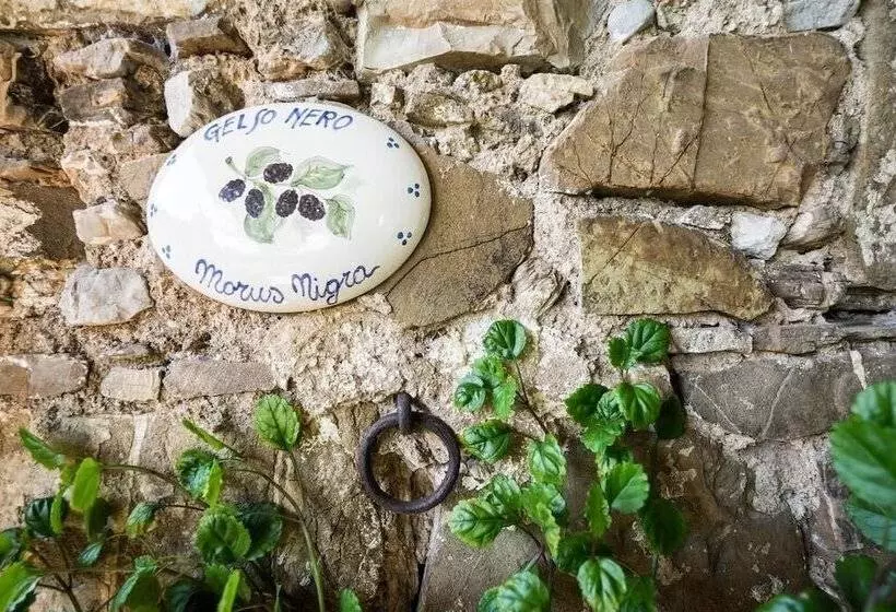 Casale Giancesare Villa Agricola