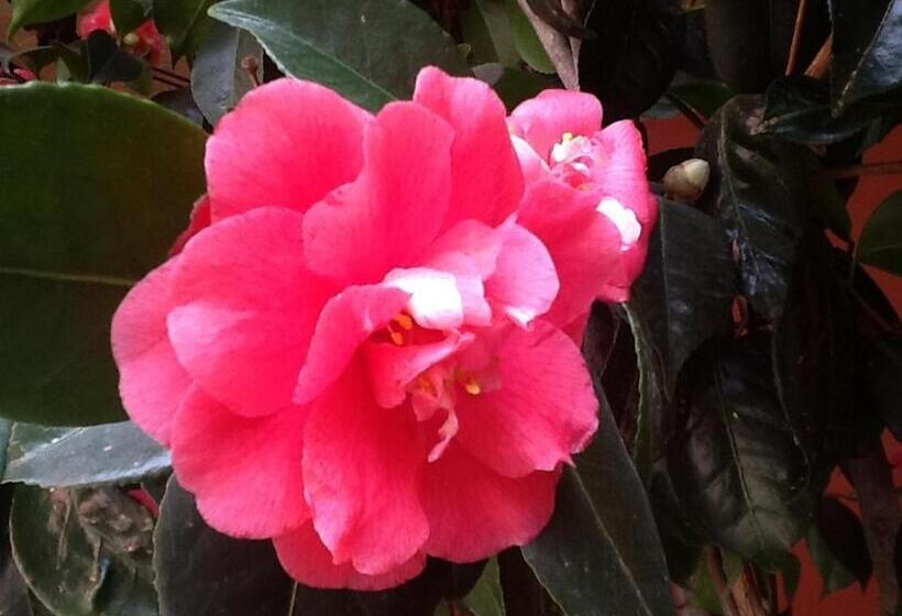 فندق La Locanda Del Melograno