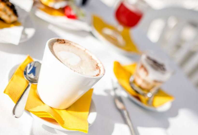 בית מלון כפרי Metropol