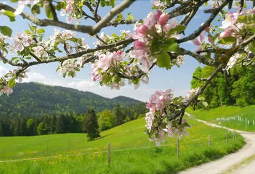 Szálloda Post   Regionales Großes Frühstücksbuffet   Auch Gf & Lf