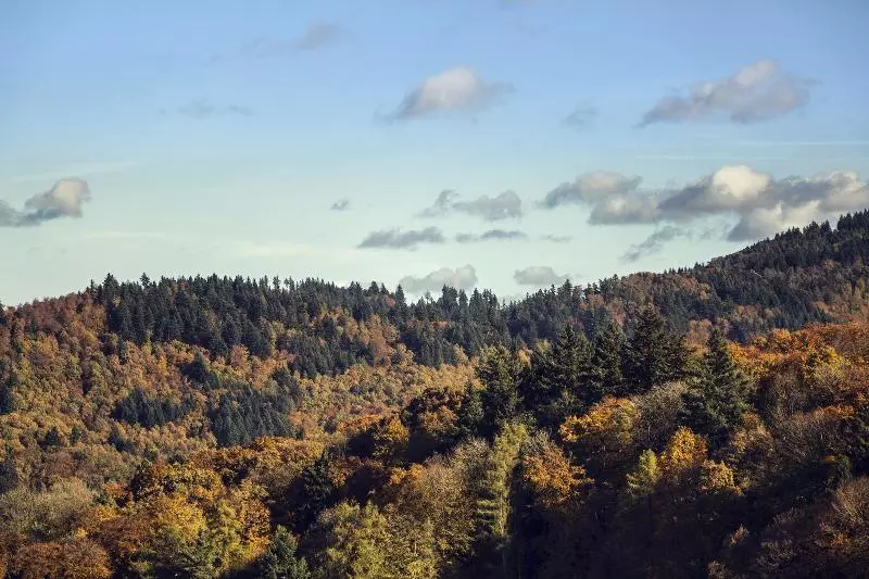 酒店 Rainhof Scheune & Naturpark Restaurant