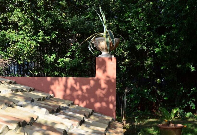 호텔 Siora Vittoria Boutique