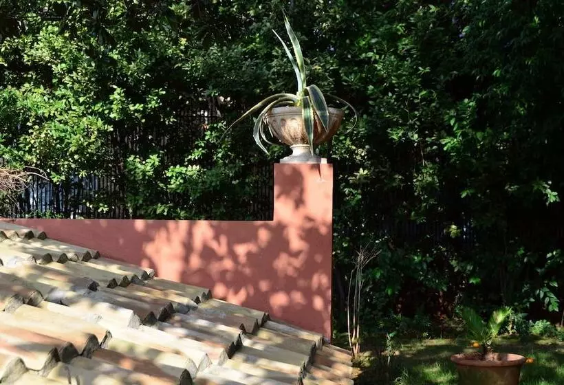 호텔 Siora Vittoria Boutique