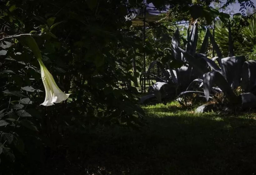 호텔 Tenuta Santa Tecla