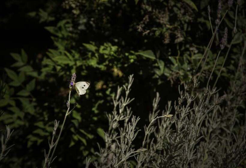 هتل Tenuta Santa Tecla