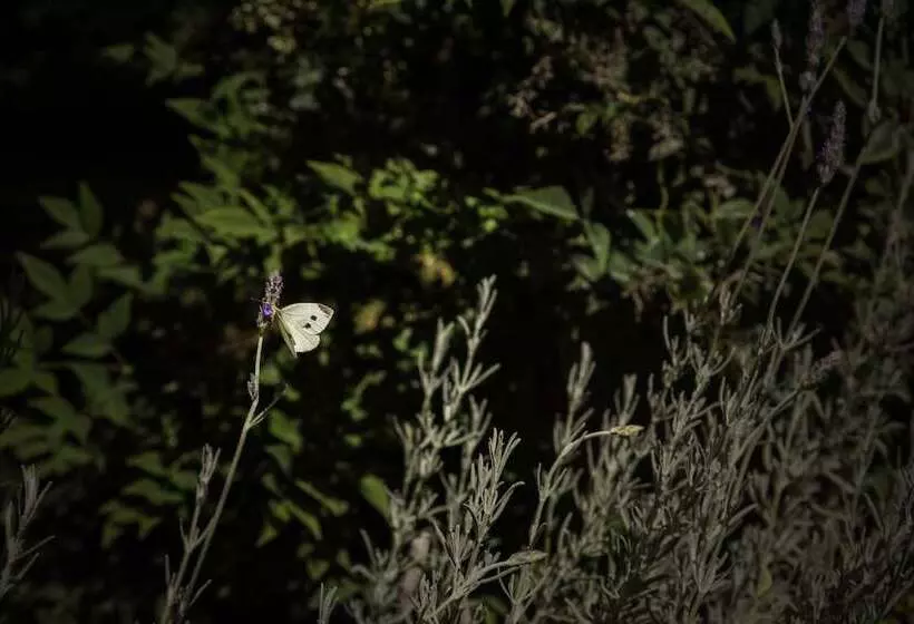 호텔 Tenuta Santa Tecla