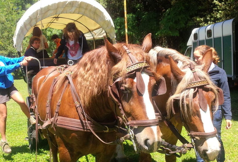 호텔 Tizé Village
