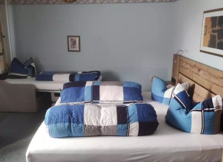 膳宿费 Gasthof Goldene Krone