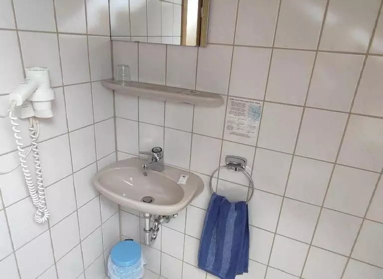 膳宿费 Gasthof Goldene Krone