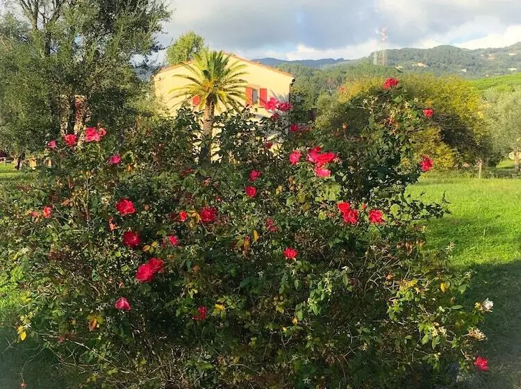 پانسیون Resort La Ghiaia