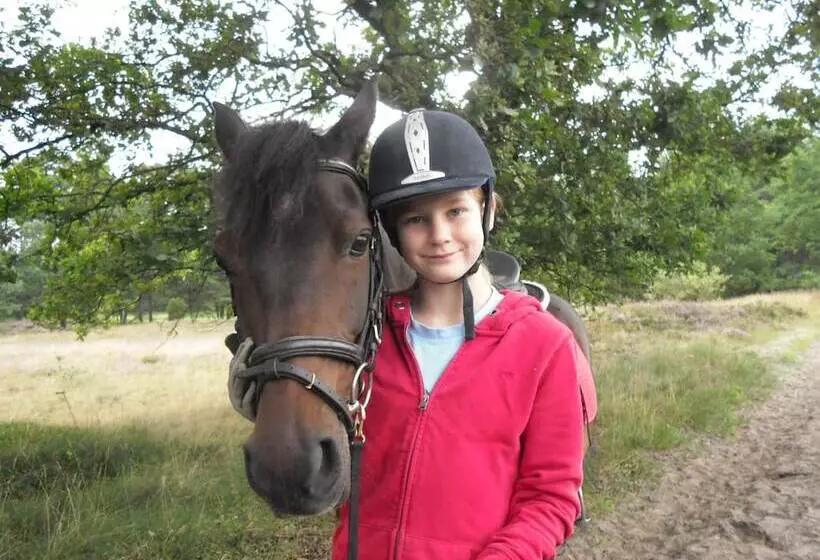 膳宿费 Studtmanns Gasthof