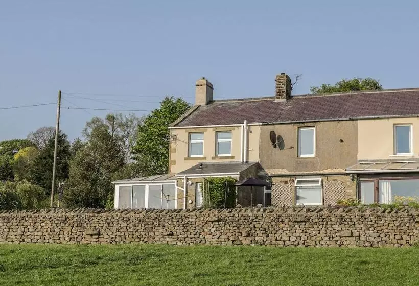 3 Guys Cottages