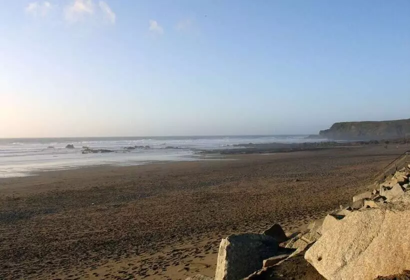 Driftwood