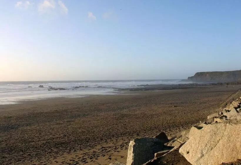 Driftwood