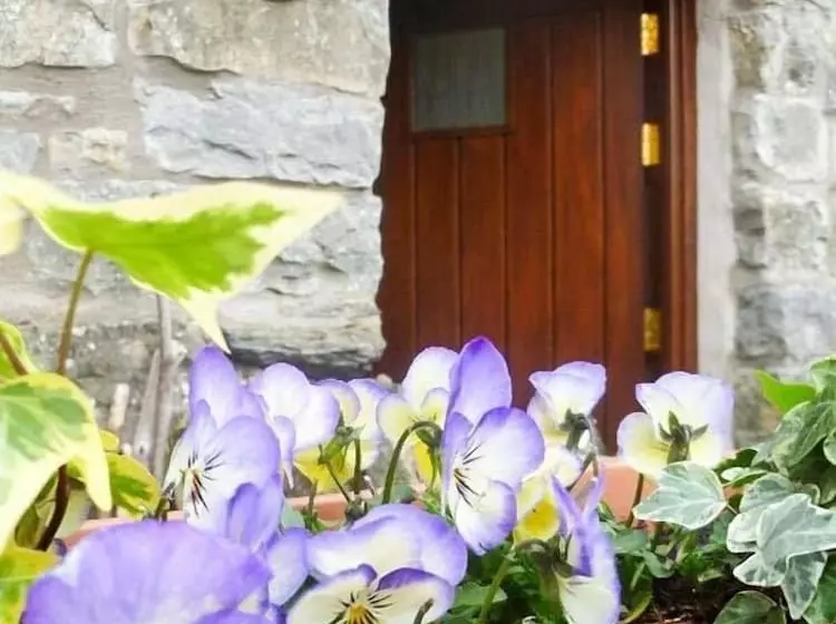 The Byre