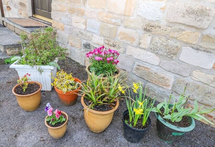 The Cottage At Moseley House Farm