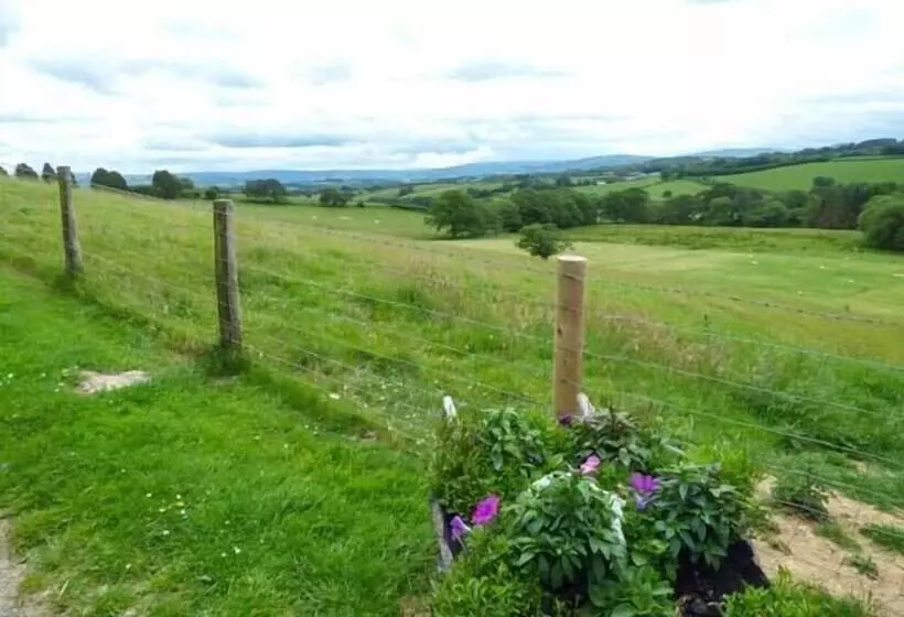 Black Mountain View