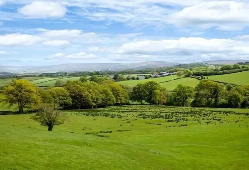 Black Mountain View