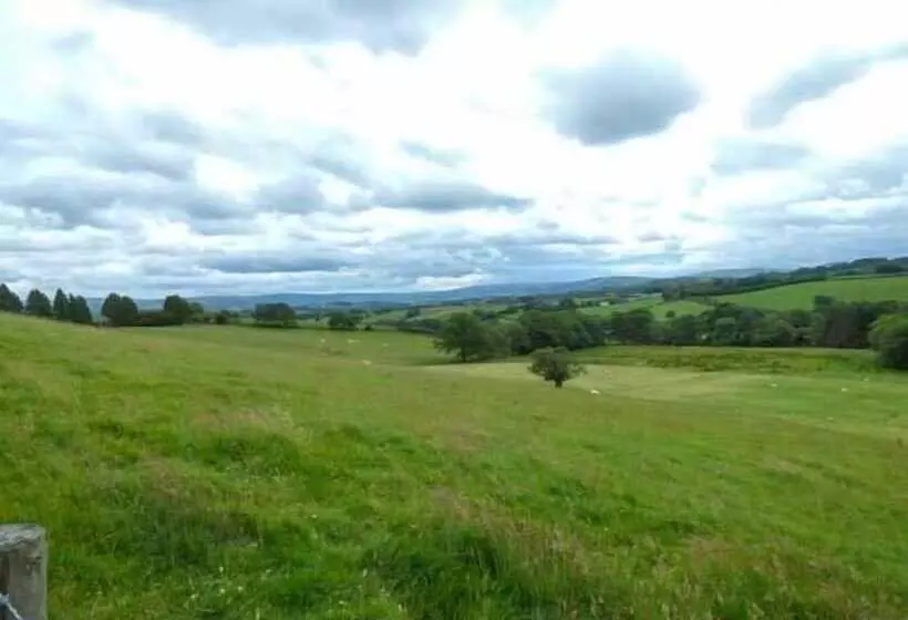 Black Mountain View