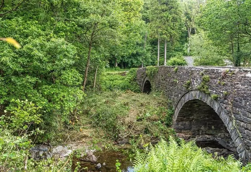 Waedog Bach