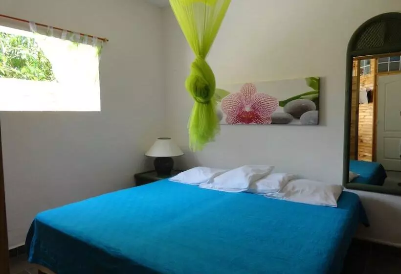 هاستل Smart Lidays