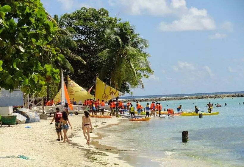 هاستل Smart Lidays