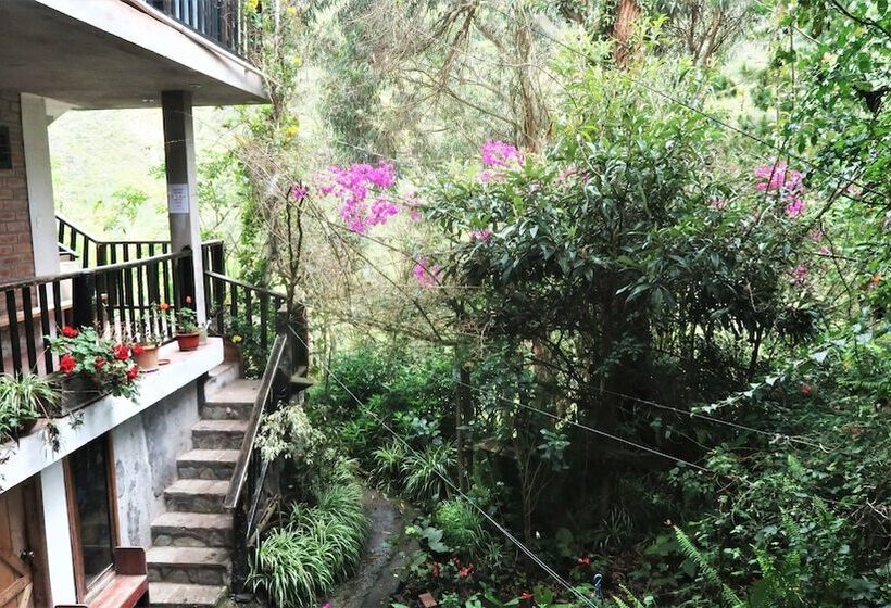 Backpackers  Balcones   Hostel