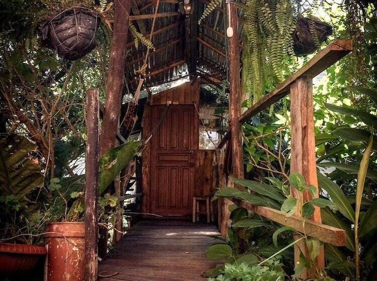 Backpackers  Balcones   Hostel