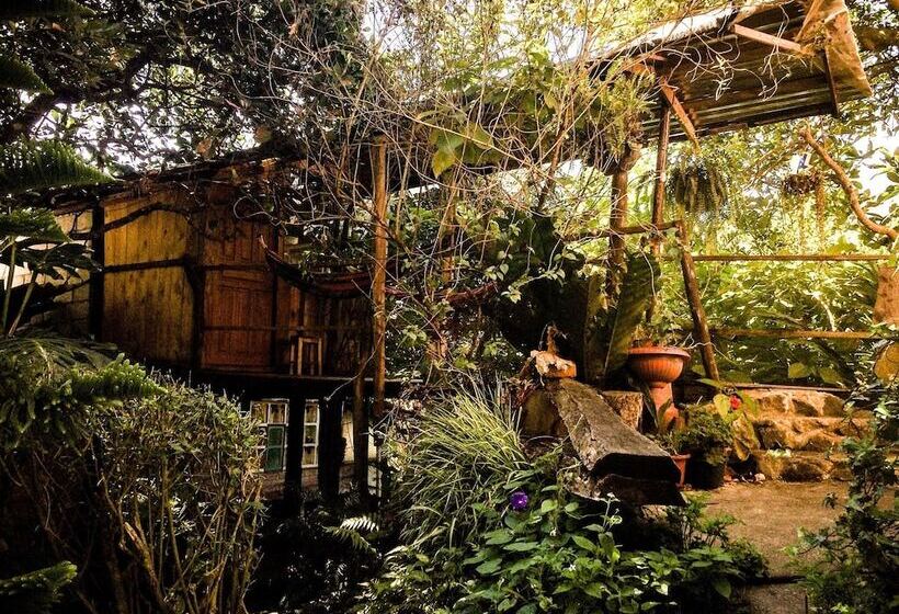 Backpackers  Balcones   Hostel