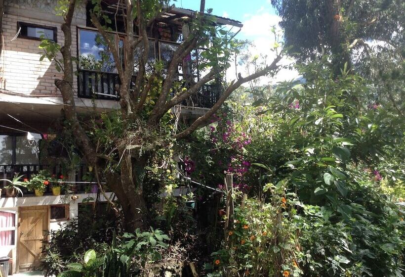 Backpackers  Balcones   Hostel