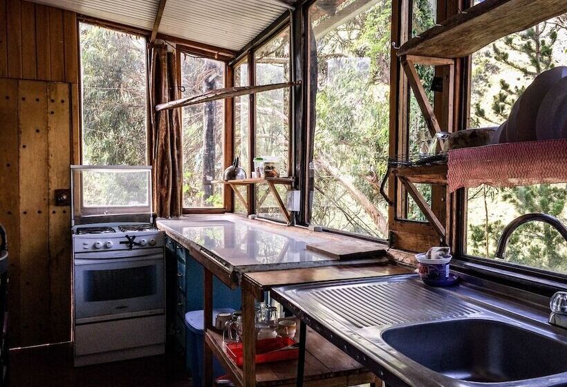 Backpackers  Balcones   Hostel