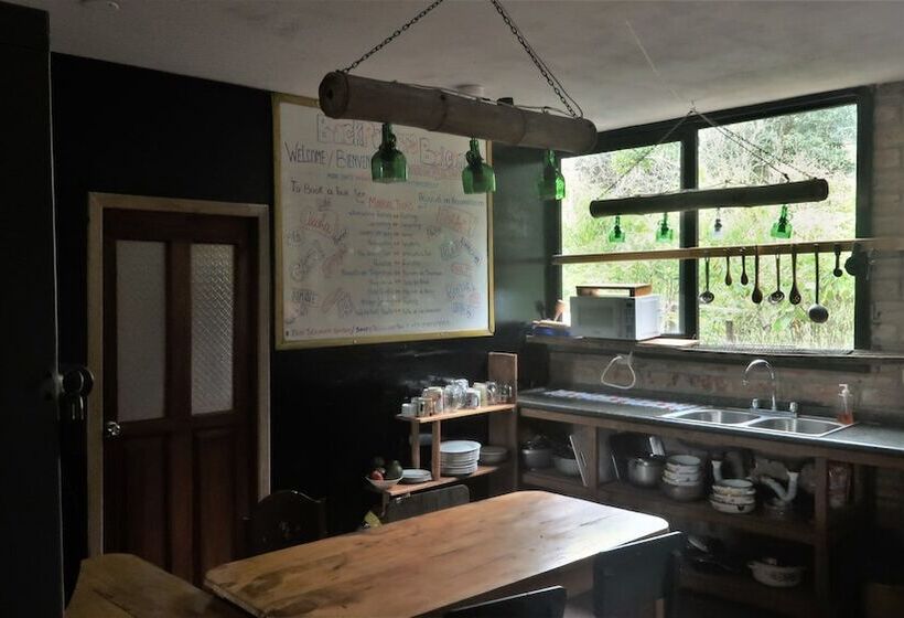 Backpackers  Balcones   Hostel