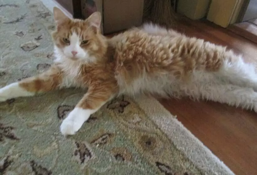 Buck's Homestead B&b