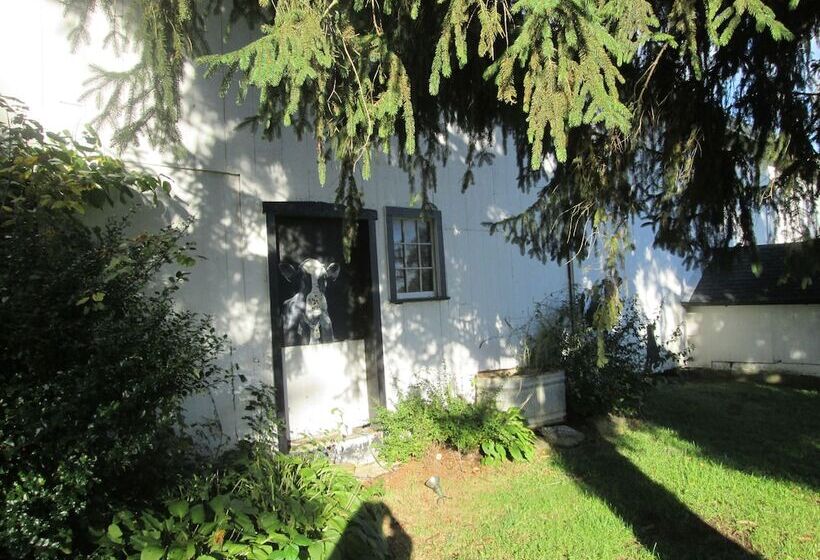 Buck's Homestead B&b