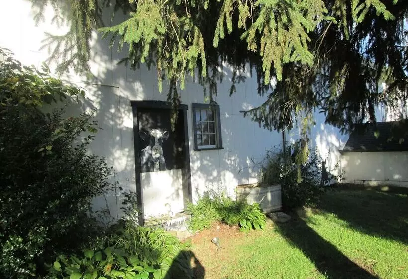 Buck's Homestead B&b