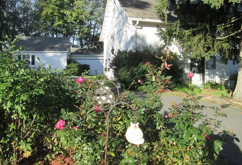 Buck's Homestead B&b