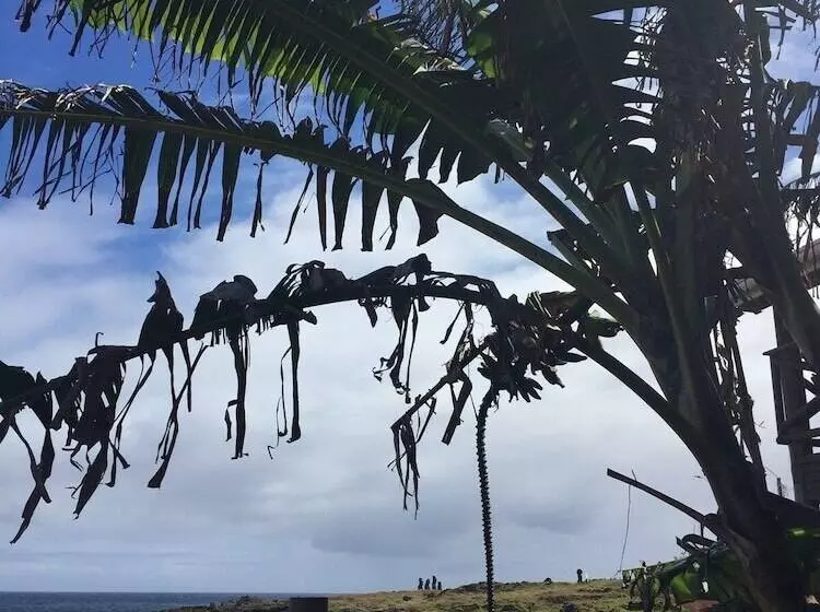 Cabañas Anavai Rapa Nui