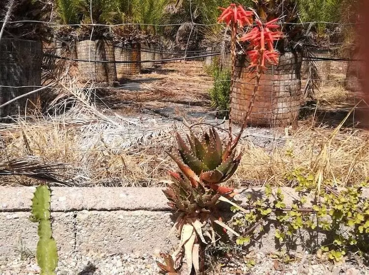 Casa Rural La Sirena Azul