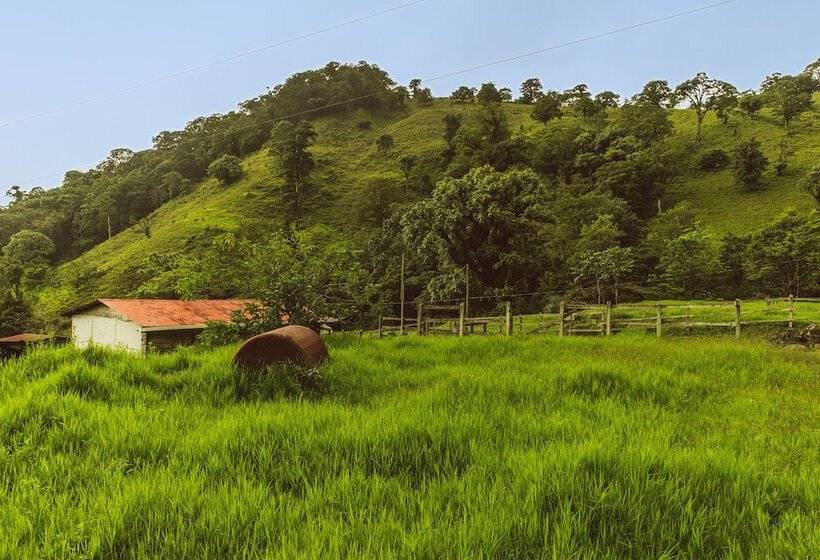 בית מלון כפרי Aurora Mountain