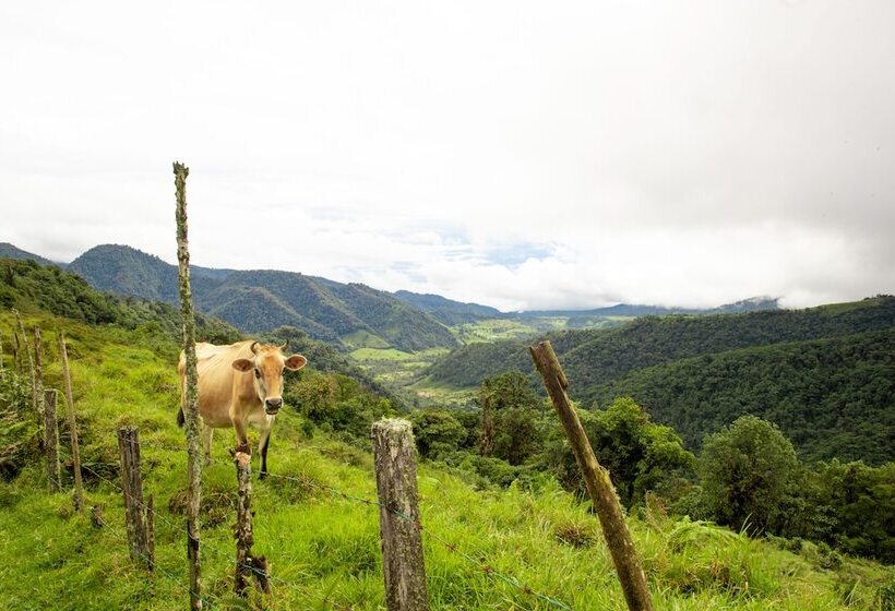 בית מלון כפרי Aurora Mountain