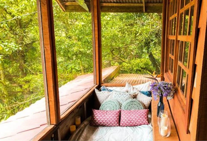 בית מלון כפרי Aurora Mountain